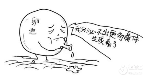 卵泡發(fā)育緩慢會不會影響備孕？