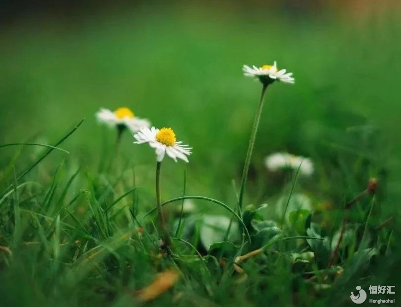 45歲高齡試管成功日記，不看就走寶啦！