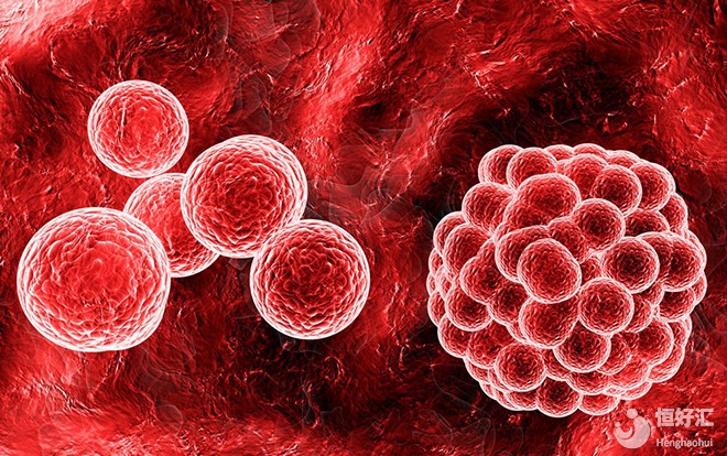 如何留住卵巢的歲月？生殖專家告訴你