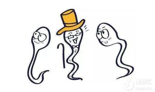 精子畸形率高不能受孕？是不是真的？