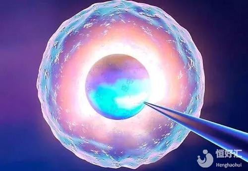 冷凍卵子會不會對卵子有傷害？