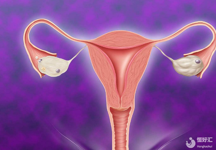 無(wú)子宮能否做試管嬰兒？