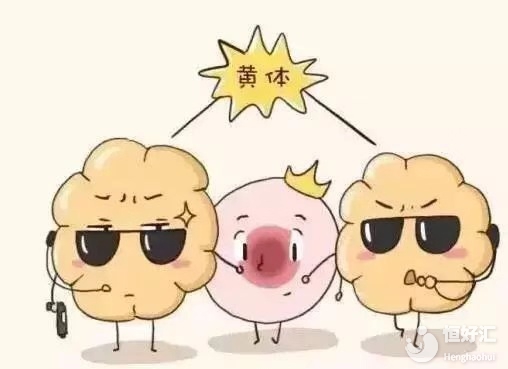 這三個征兆表明，女性的黃體可能不足