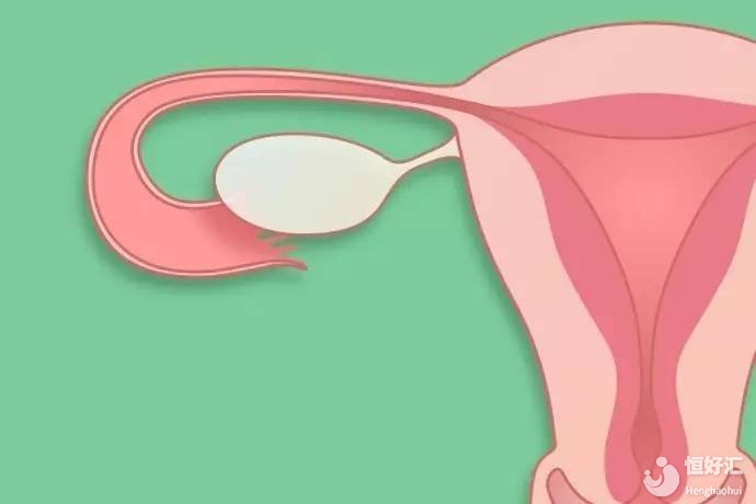 厲害！絕經(jīng)還能生育？怎么做到的？