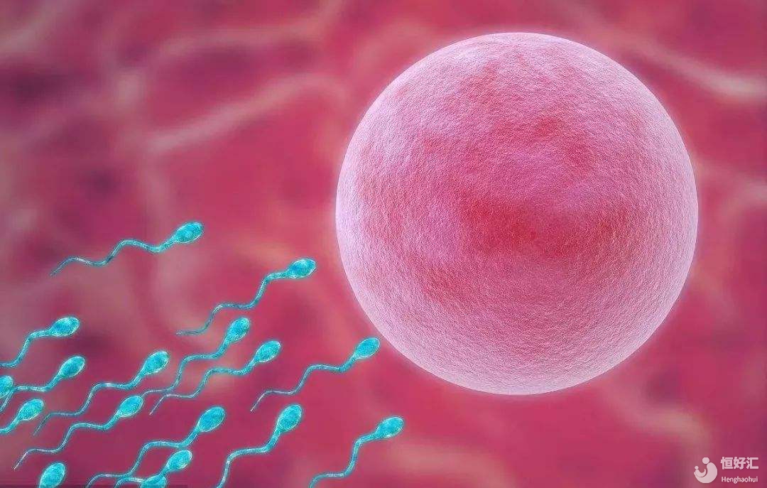 誰(shuí)阻礙了我試管寶寶的出生？影響試管嬰兒的六大因素（上）