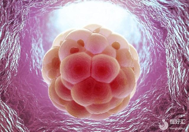 誰(shuí)阻礙了我試管寶寶的出生？影響試管嬰兒的六大因素（下）