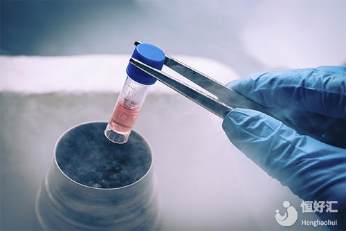 專家解答：冷凍胚胎要怎么解凍？