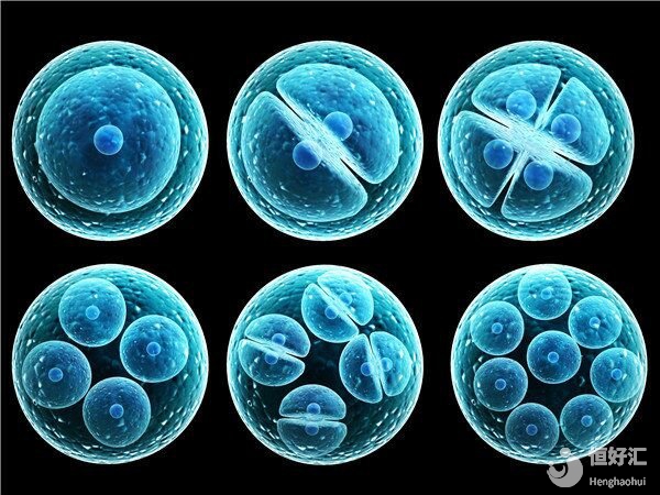 糟糕！我的胚胎碎了？什么是胚胎碎片？