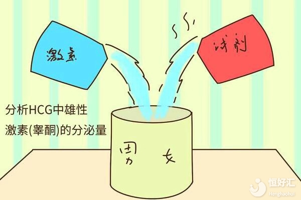 透過(guò)性激素六項(xiàng)，能了解女性多少事情？