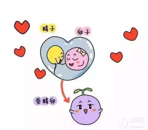 如何證明輸卵管是通暢狀態(tài)？