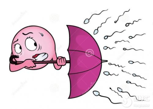 精子跟卵子之間會產(chǎn)生排斥嗎？