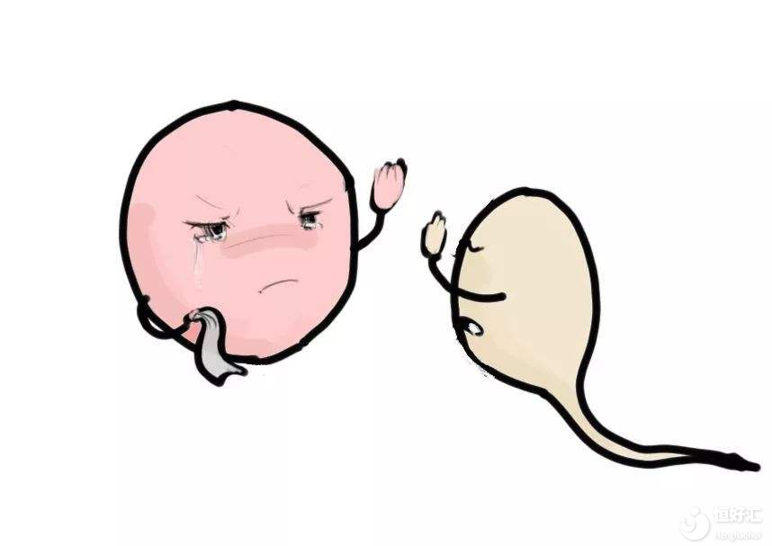 震驚！捐卵女孩切卵巢？為什么要捐卵？