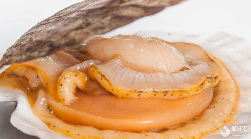 備孕吃什么好呢？試管媽媽可以吃扇貝嗎？