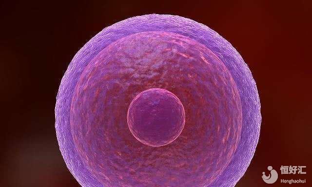 試管嬰兒移植前哪些注意事項，可以提高試管成功率？