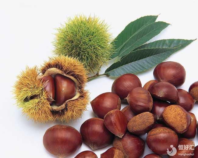 試管媽媽在備孕期間可以吃板栗嗎？