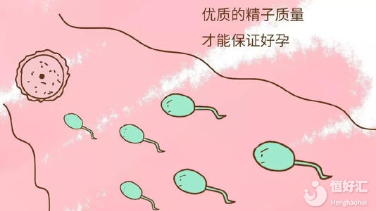 備孕要注意以下事項，著重提高生育力才是重點！