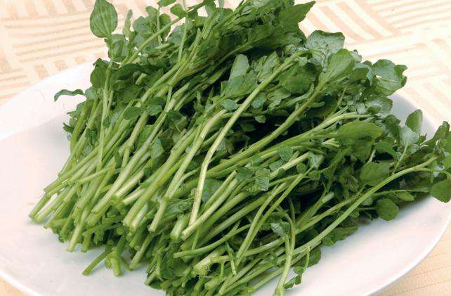 冬天了，要打火鍋，試管媽媽可以放西洋菜吃嗎？