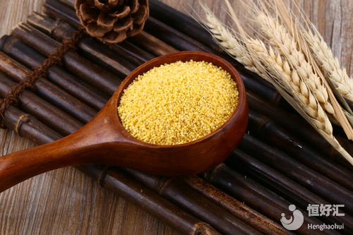 備孕主食吃什么？試管媽媽可以吃小米嗎？