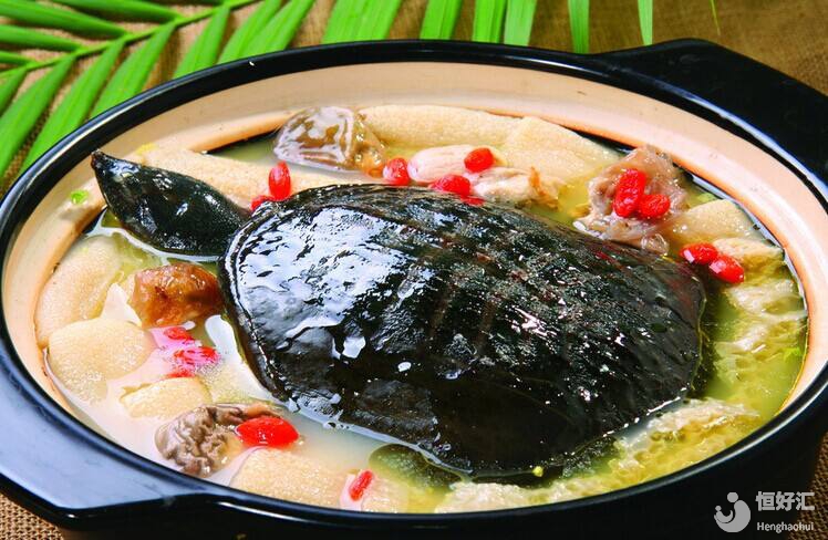 東海神龜可以吃？錯(cuò)了，那是鱉，試管媽媽可不能吃哦！