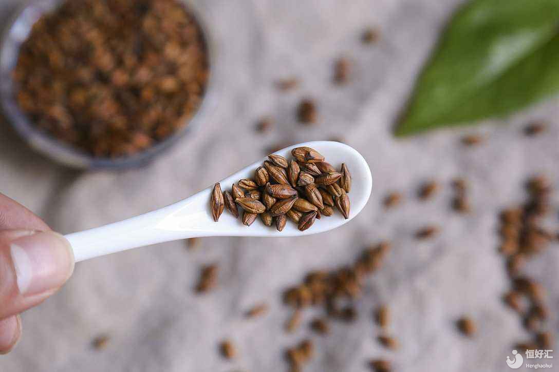 備孕喝什么？試管媽媽可以喝大麥茶嗎？