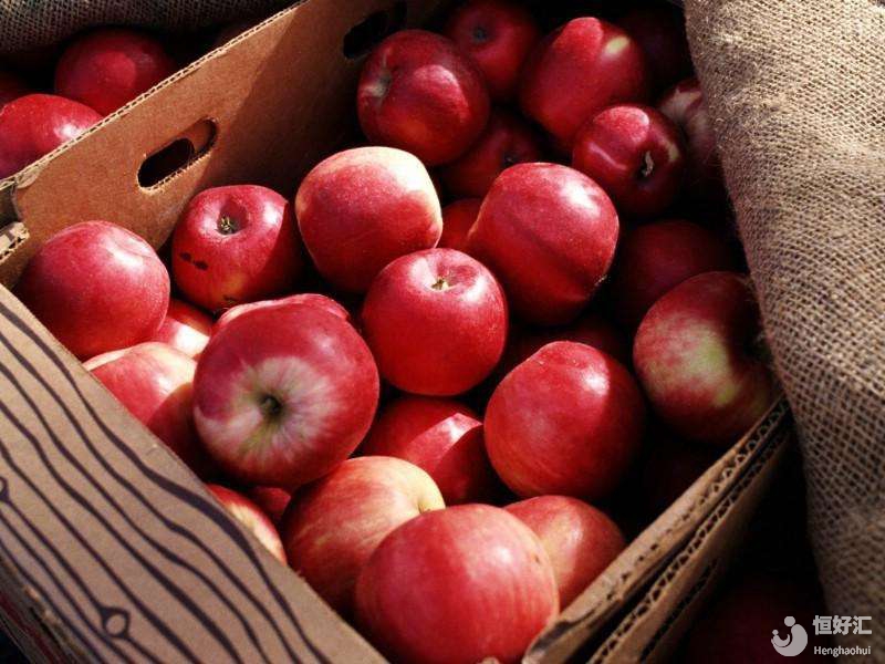 平安夜吃蘋果，試管媽媽可以吃蘋果嗎？