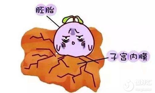 子宮內(nèi)膜薄不要怕！這兩種治療方法你值得擁有