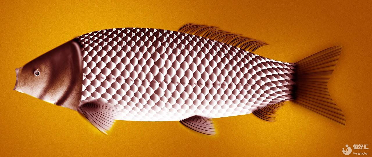 嘗一口鯽魚豆腐湯，縱享絲滑！問題來了，試管媽媽可以食用嗎？