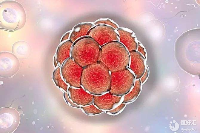 胚胎移植失敗怎么辦？醫(yī)生在線解答