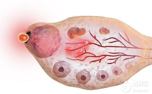 月經過后多久會排卵？排卵前會有什么表現(xiàn)？