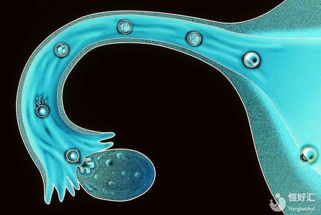 女性不孕不育的檢查項目，請查收?。ㄏ拢? /></a>
	<div   id=