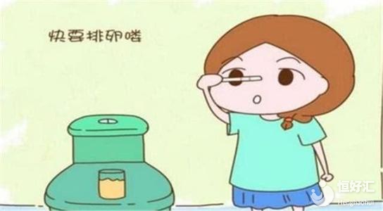 排卵日一定能懷孕？也許你可以來了解這一天