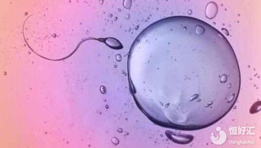 來月經(jīng)就是排卵了？專家：并非如此