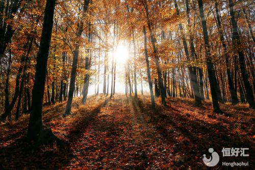 備孕疑問(wèn)：最適合受孕的季節(jié)是秋天？