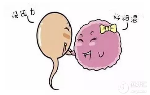 關于備孕的這3大疑問，你都解決了嗎？