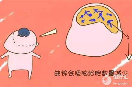 缺鋅很容易導致不孕不育，應該如何補充？