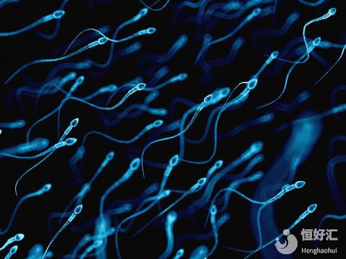 關于精子的幾點誤區(qū)，你又了解了多少？