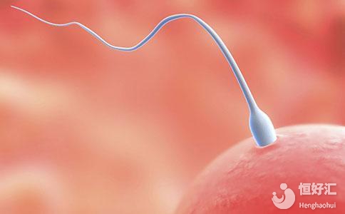 如何從月經(jīng)狀況看是否適合受孕？這幾點很關(guān)鍵