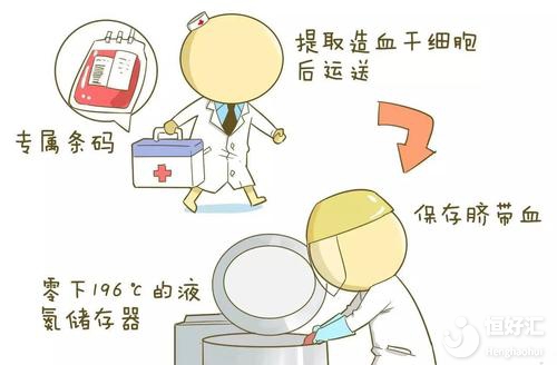 臍帶血有必要保存嗎？這3點常識很多人不知