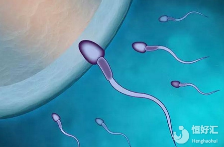 備孕避開這4大不利點(diǎn)，助你懷健康寶寶！