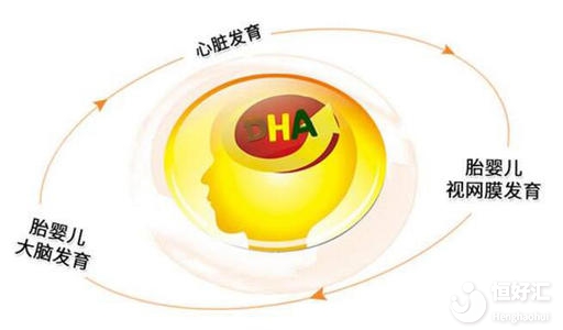 孕婦吃dha對(duì)胎兒有哪些好處？這幾點(diǎn)不可忽視