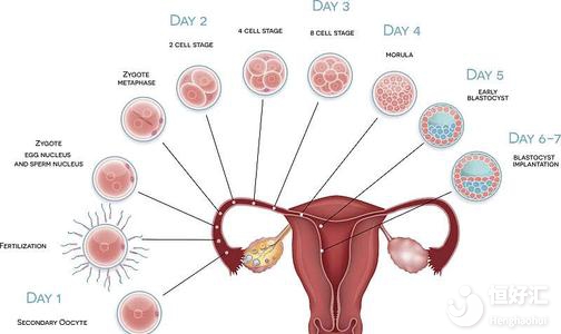 驚呆！女人停經(jīng)居然也可以懷孕，看完“毀三觀”