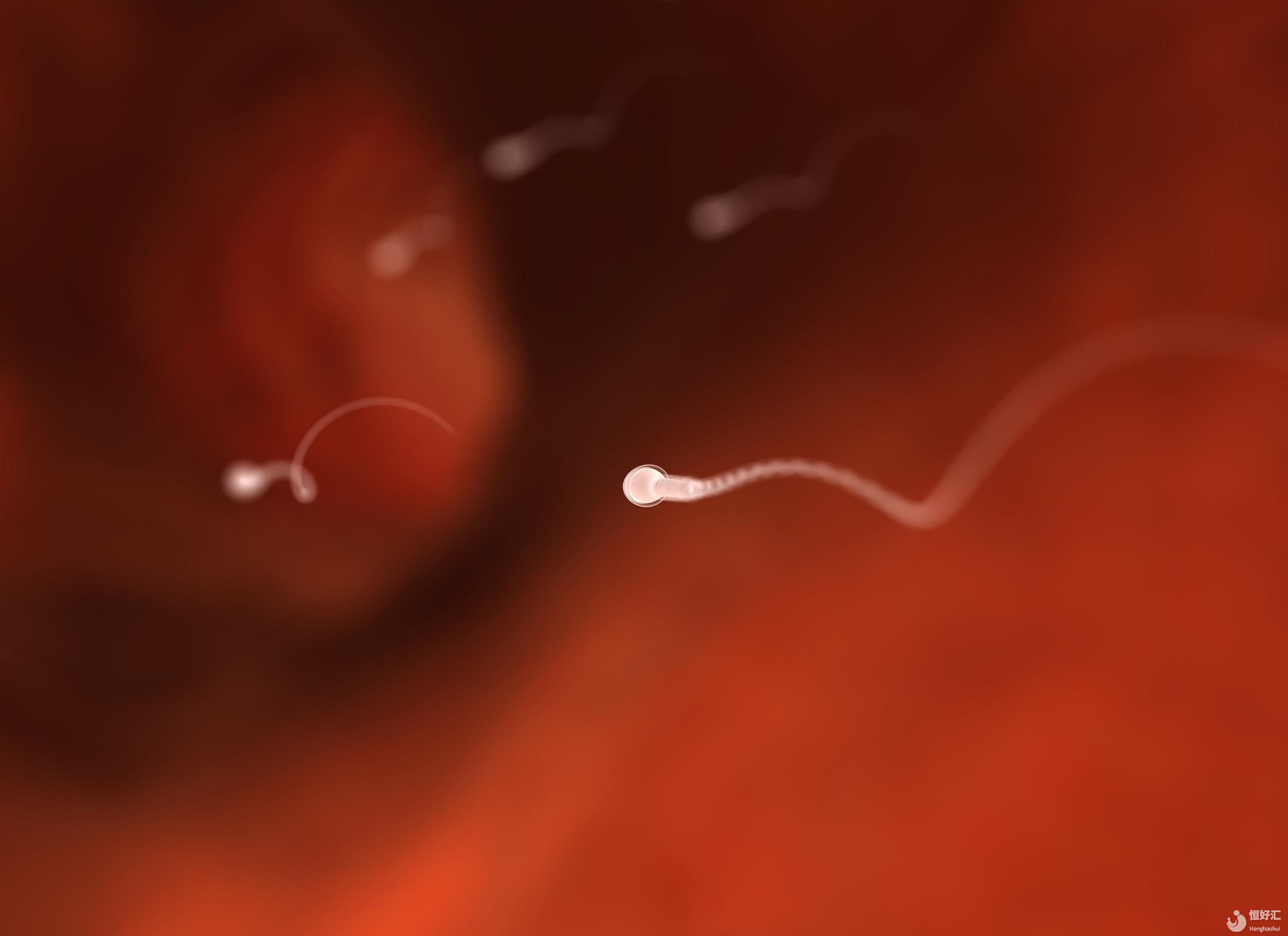 什么？精液里竟然還能沒有精子？