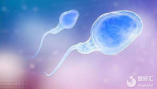 孕前精子質(zhì)量檢查：這4個方面起關(guān)鍵作用！