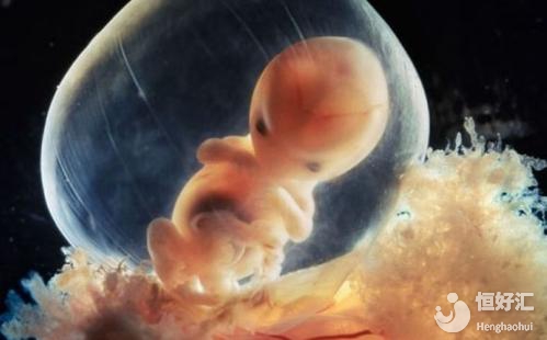 為什么做試管嬰兒，移植后胚胎著床老是失敗？