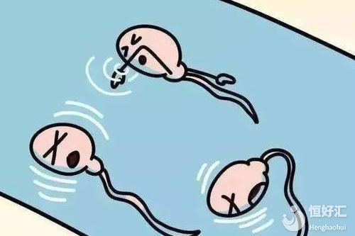 為什么會不育？原來是精子畸形率高！