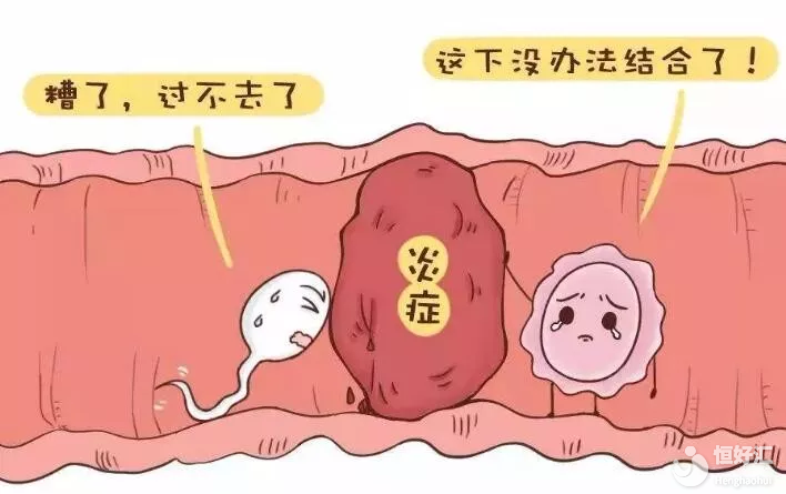 輸卵管導(dǎo)致不孕？只要找對(duì)治療方法，好“孕”自然來(lái)