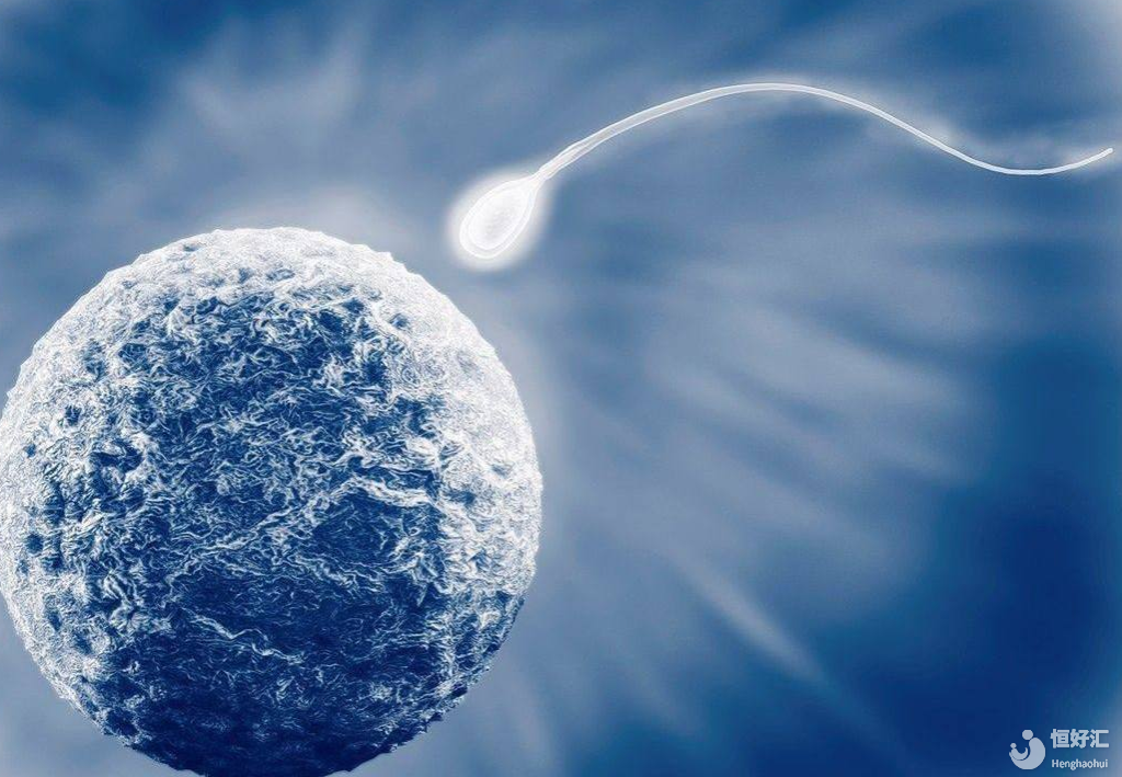 試管嬰兒有幾種方案？該如何選擇？