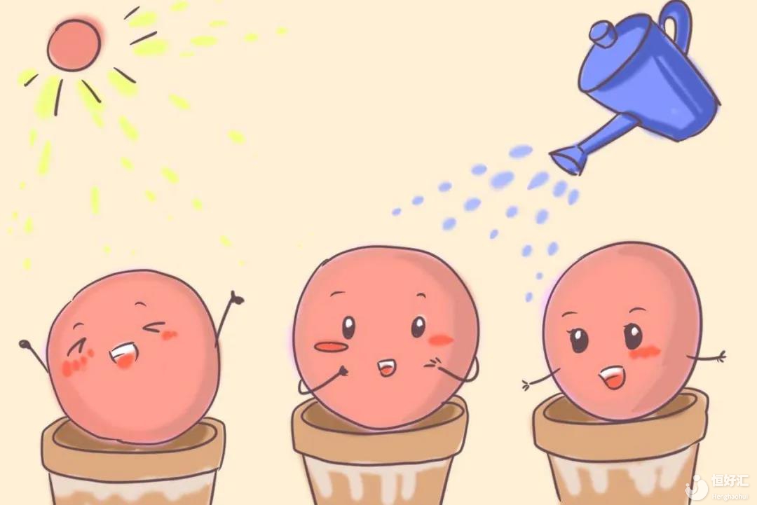 試管嬰兒一個月能取幾次卵？關(guān)于促排周期你又了解多少？