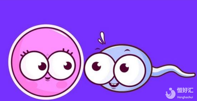 精子卵子正常卻不孕？免疫性不孕你了解嗎？