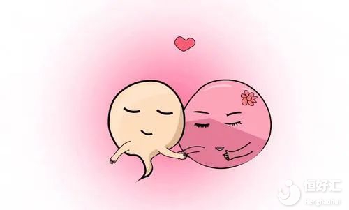 如何把卵子養(yǎng)的“白白胖胖”？這4個(gè)方法很實(shí)用